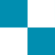 Teal and White Check